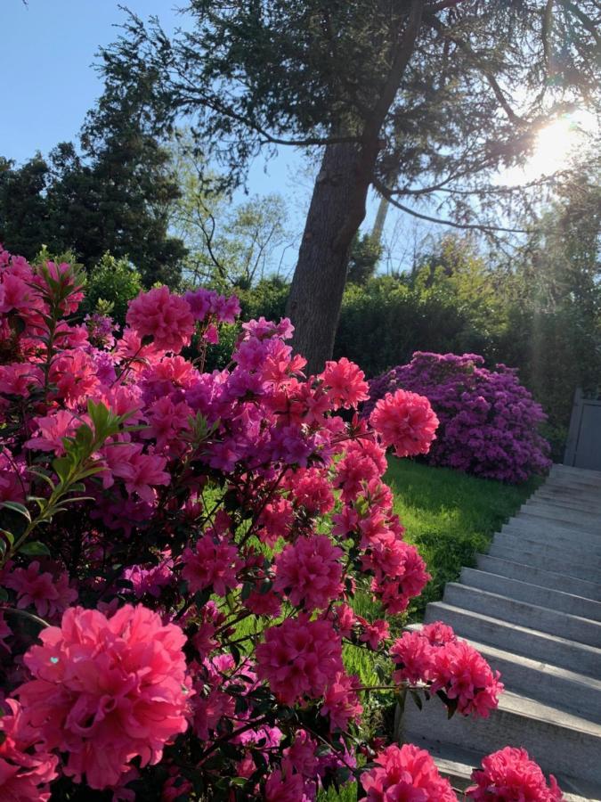 Giardini Magnolia Lejlighed Belgirate Eksteriør billede