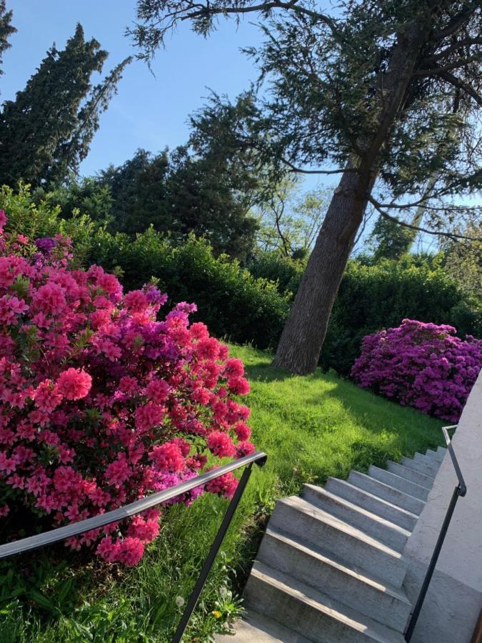 Giardini Magnolia Lejlighed Belgirate Eksteriør billede