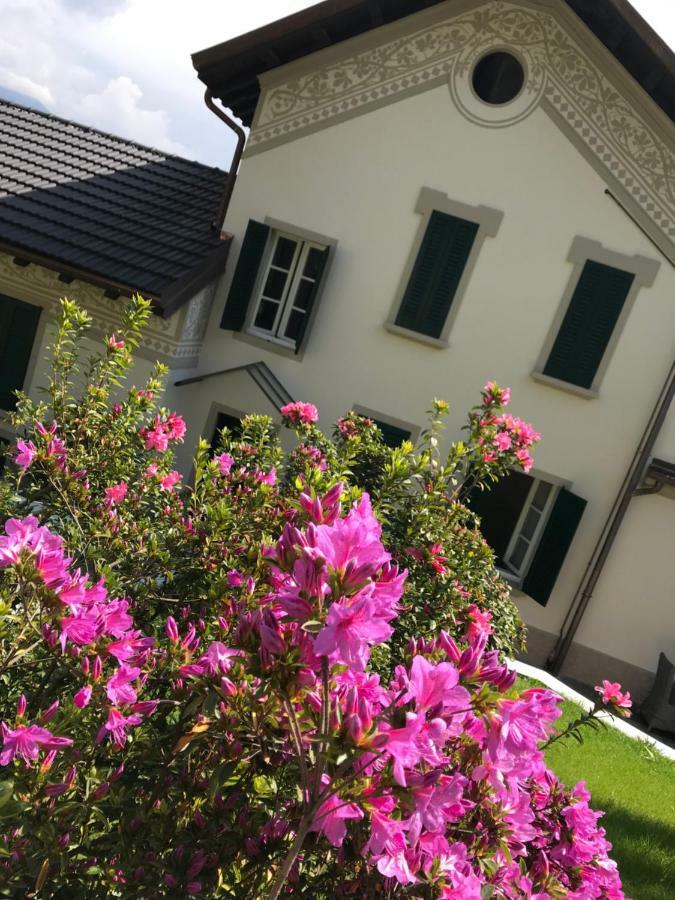 Giardini Magnolia Lejlighed Belgirate Eksteriør billede